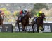  Carrera: P.Jesún Mémdez Monta: J.Gelabert Caballo: El Salor